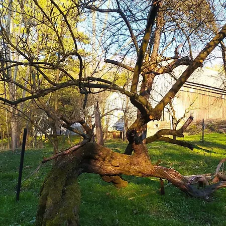 Na Samote U Lesa, Hledsebe Feriehus